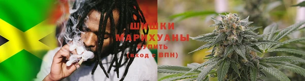 ГАЛЛЮЦИНОГЕННЫЕ ГРИБЫ Михайловск