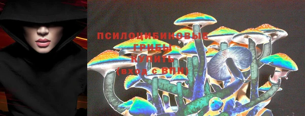 ГАЛЛЮЦИНОГЕННЫЕ ГРИБЫ Михайловск