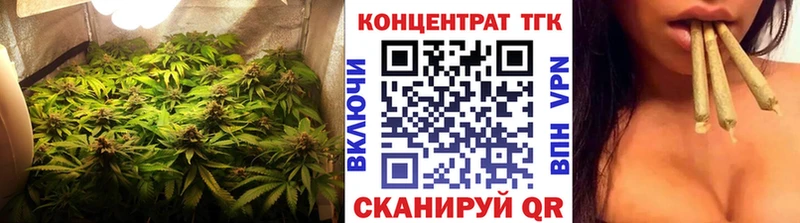 сколько стоит Тарко-Сале дарк нет телеграм ТГК концентрат